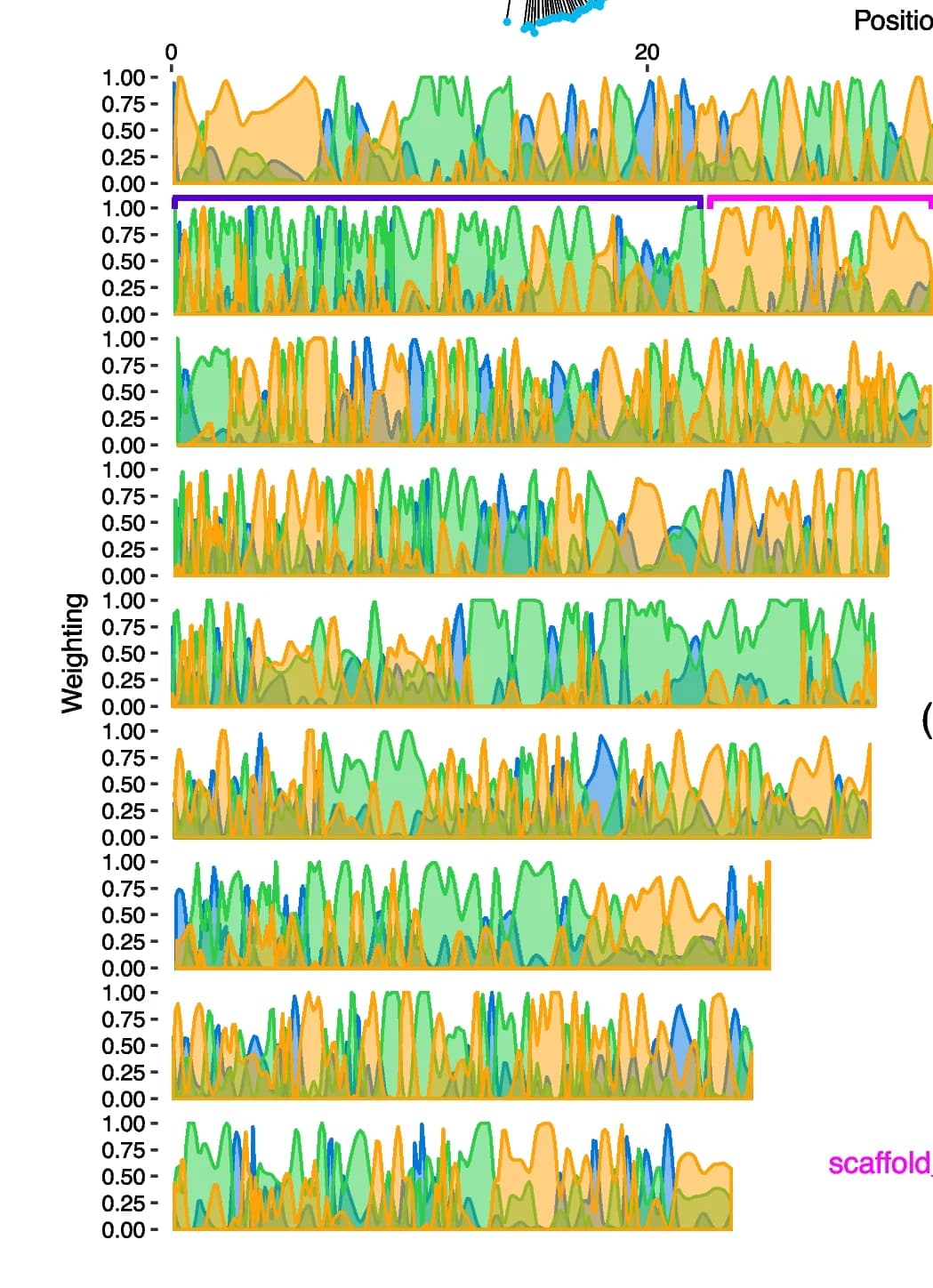 Open access visualization of Line Plot, Density Plot, Topology weightings, S. avenae chromosomes, Evolutionary history