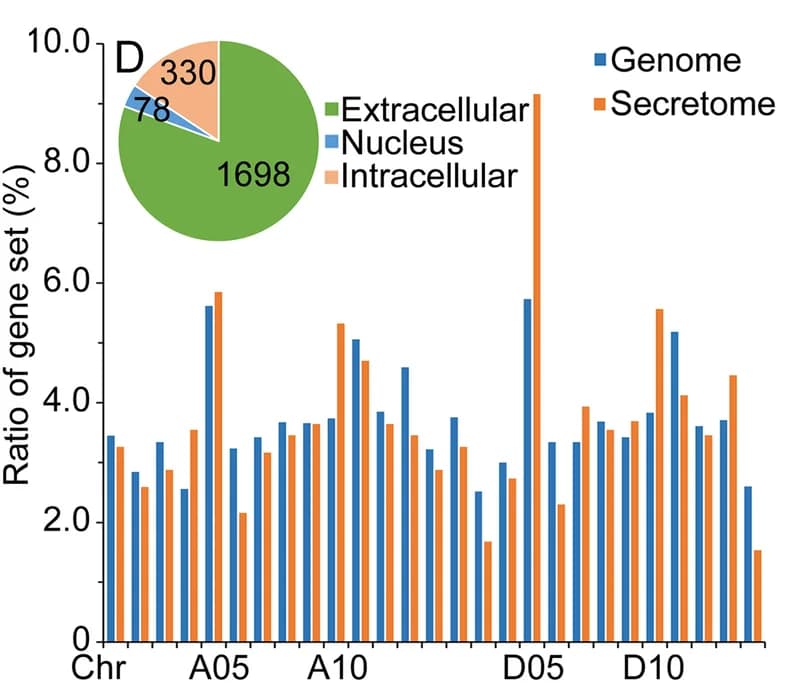 Open access visualization of Bar Plot, Clustered, Pie Chart, Secreted Proteins, Chromosomes