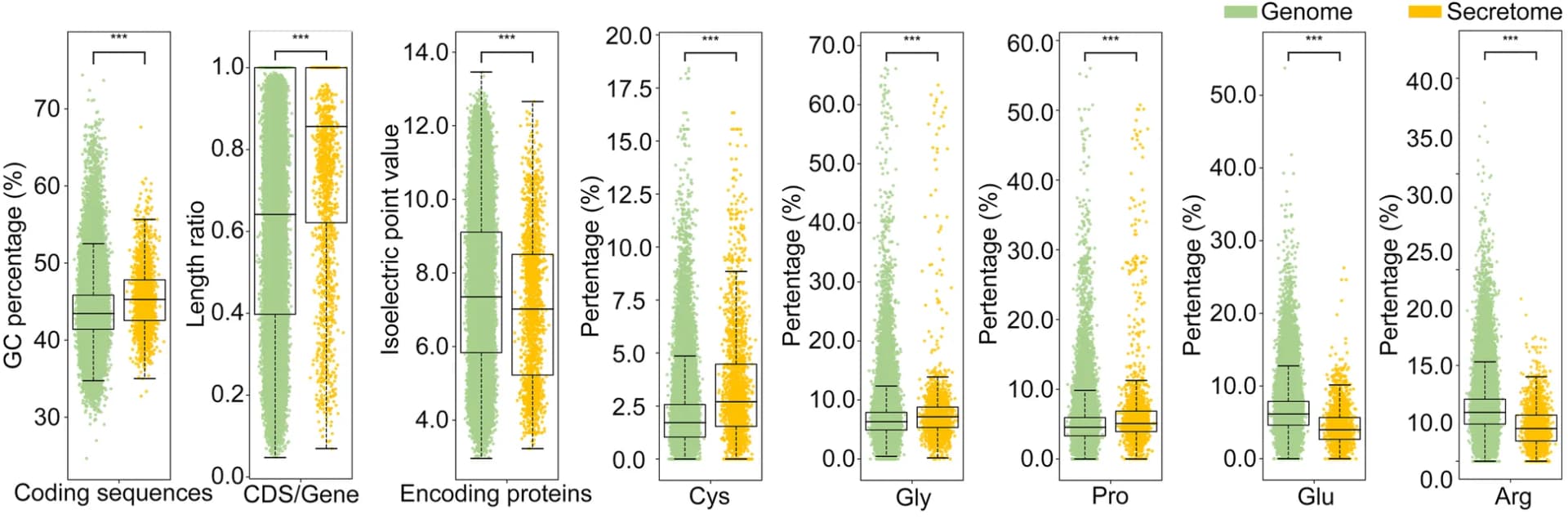 Open access visualization of Box Plot, Scatter Plot, Raincloud Plot, Protein Properties, Secretome