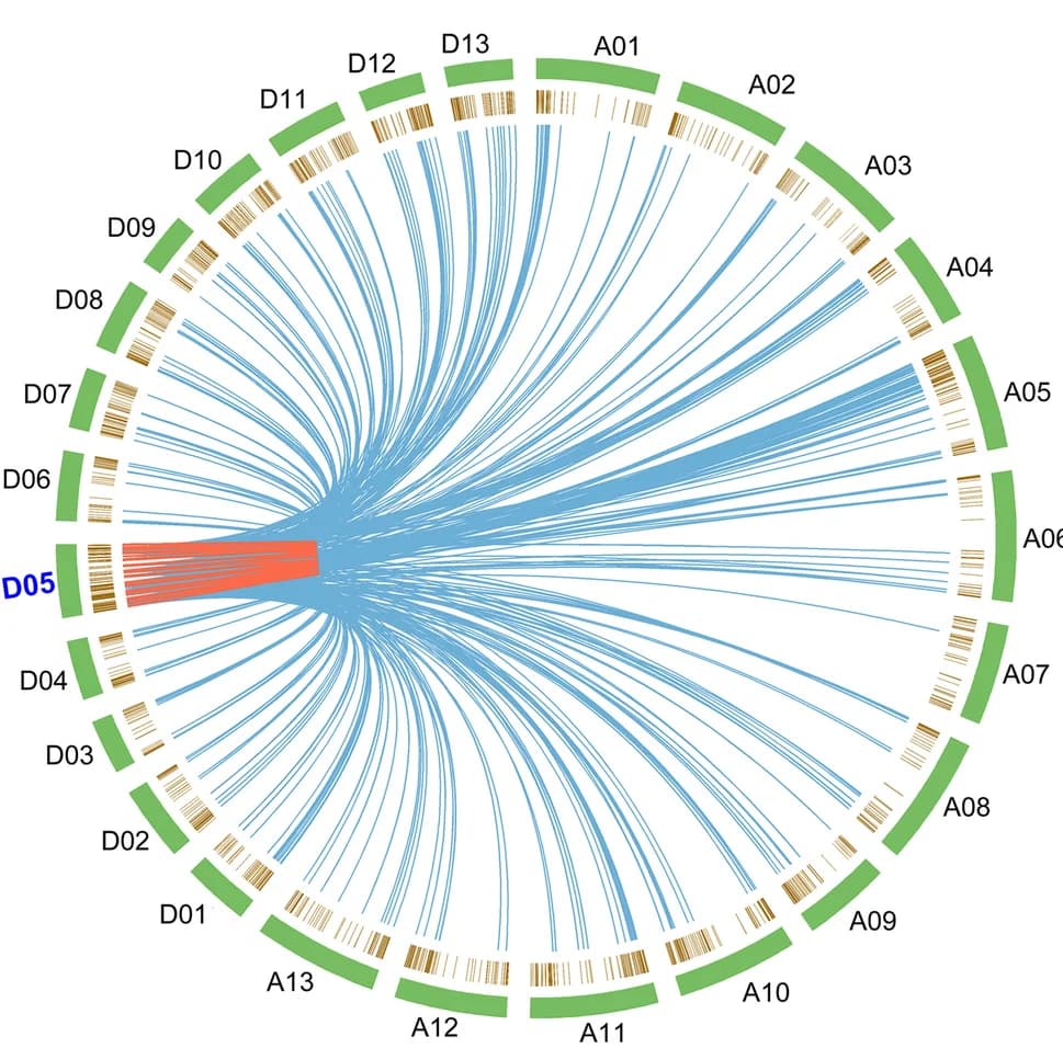 Open access visualization of Chord, Synteny Analysis, Secreted Proteins, Chromosome, Ortholog Clustering