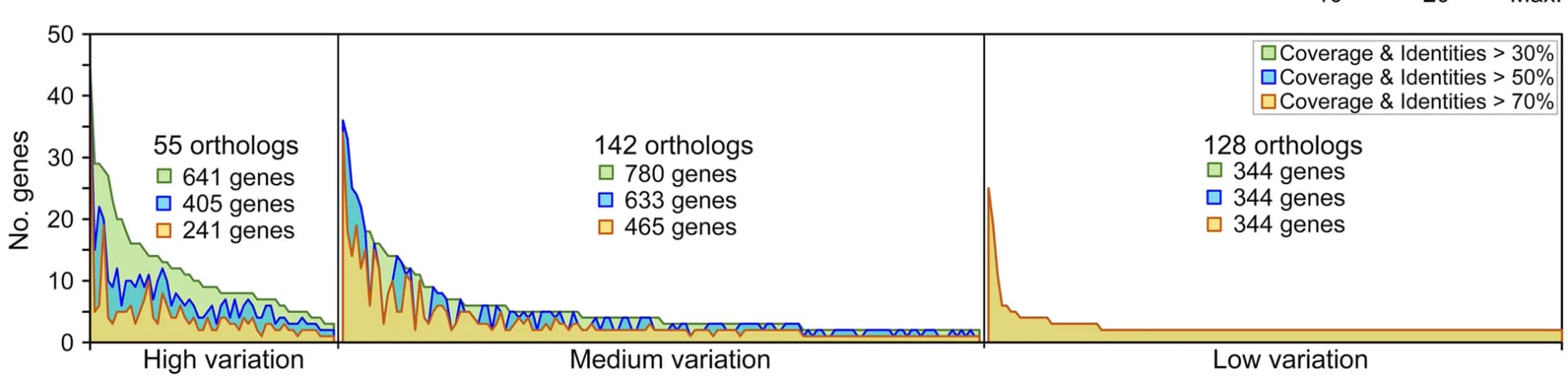 Open access visualization of Line Plot, Density Plot, Sequence Divergence, Orthologs, Ortholog Clustering