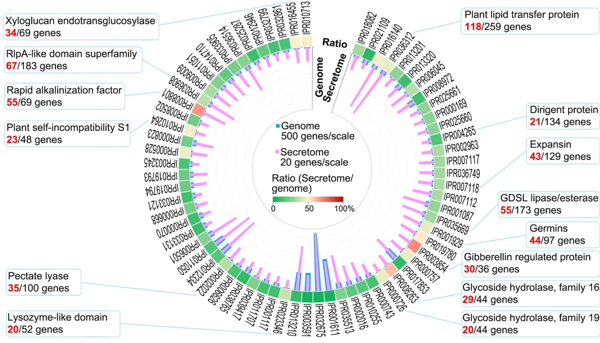 Open access visualization of Bar Plot, Secretome, Conserved Domains, InterPro, Genome