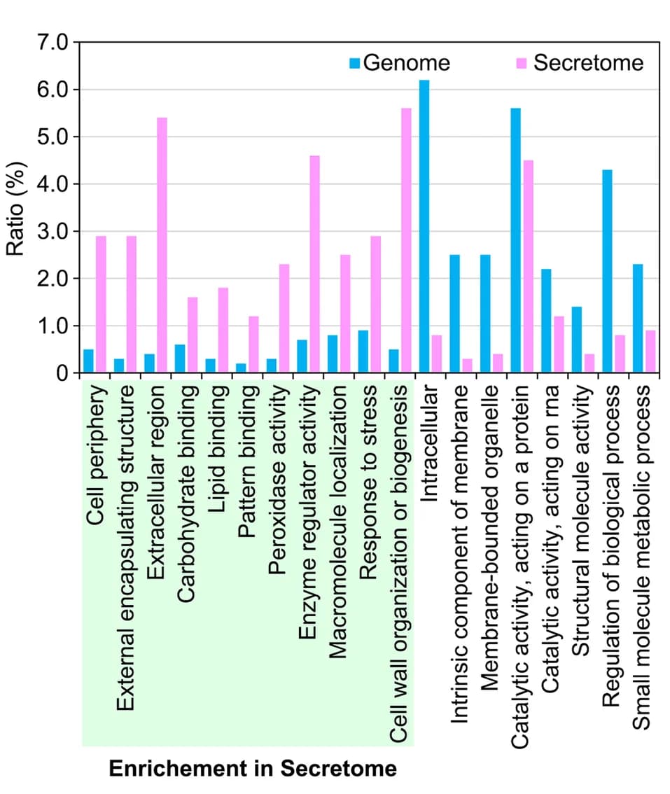 Open access visualization of Bar Plot, Clustered, Gene Ontology, Genome, Secretome