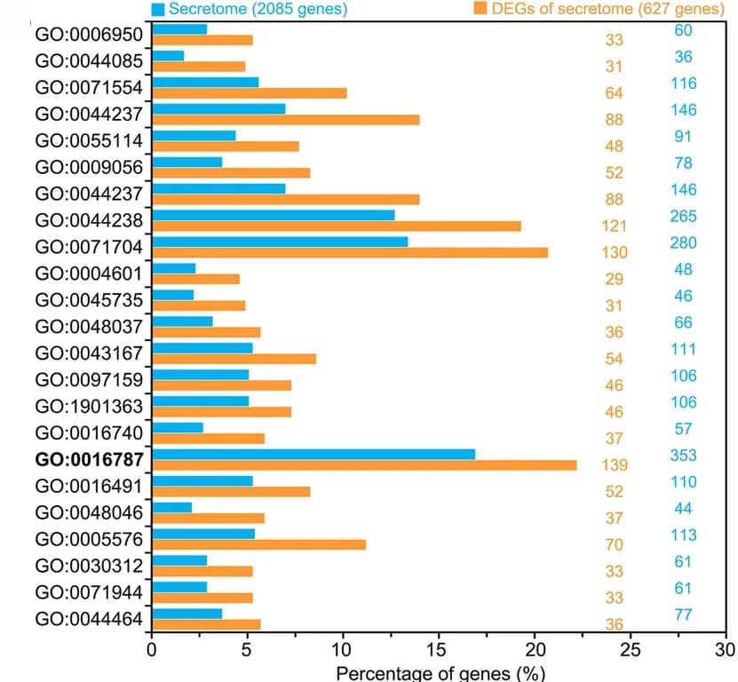 Open access visualization of Bar Plot, Clustered, Gene Ontology, DEGs, ZZM2 Secretome
