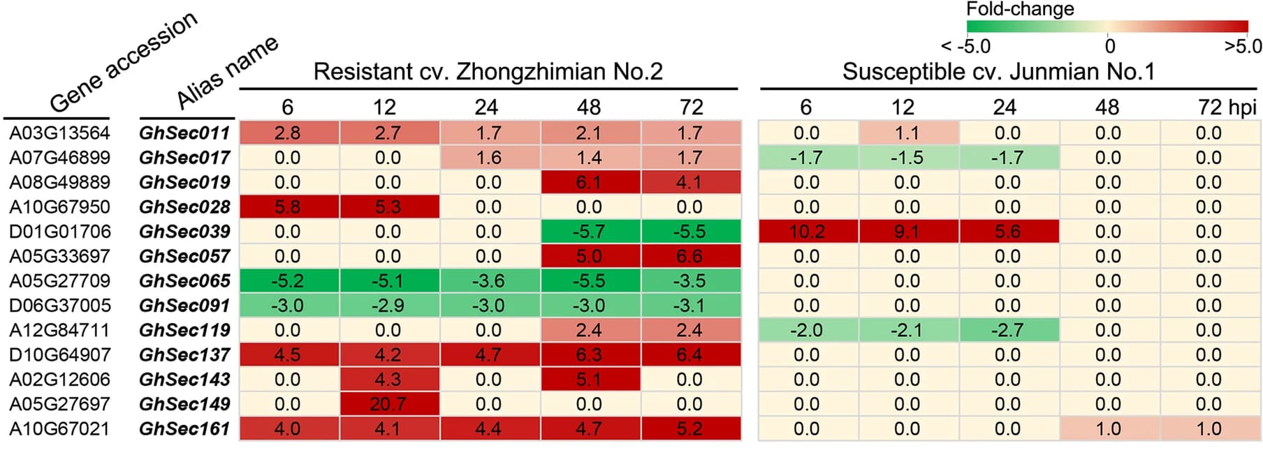 Open access visualization of Heatmap, Secretome, Gossypium hirsutum, Cultivar, Inoculation