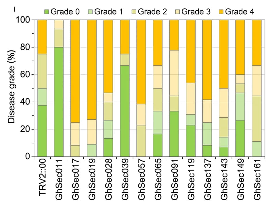 Open access visualization of Stacked Bar Plot, Silencing efficiency, Secretome, RT-qPCR analysis, GhUbiquitin gene