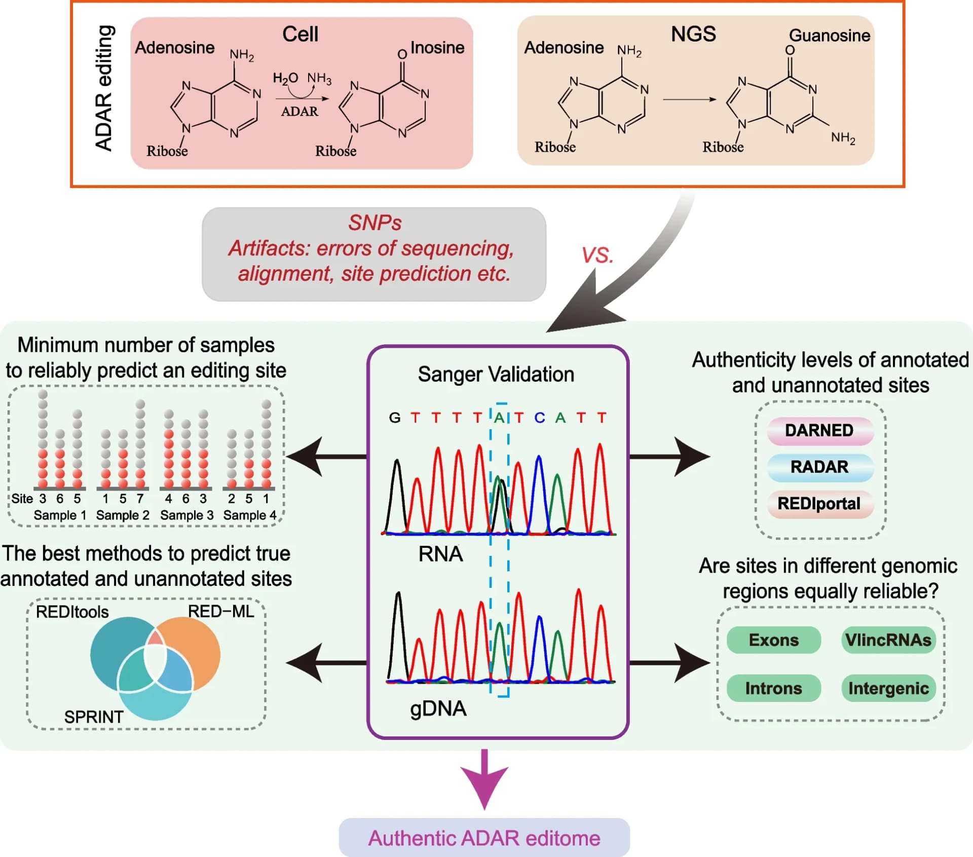 Open access visualization of Workflow, Line Plot, Venn Diagram, A-to-I RNA editing, RNA Sequencing