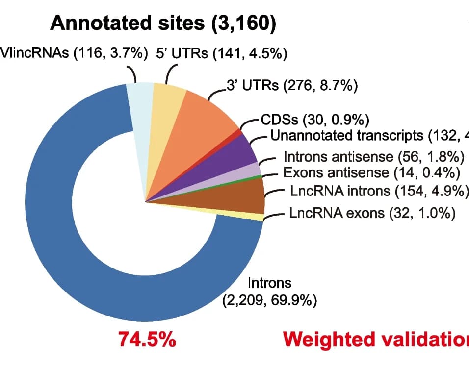 Open access visualization of Donut Chart, Pie Chart, Annotated Editing Sites, Genomic Elements, Distribution