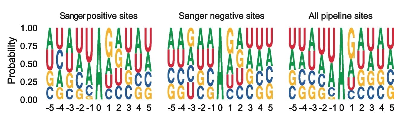 Open access visualization of Illustration, Sequence Motifs, Sanger Validation, Editing Site