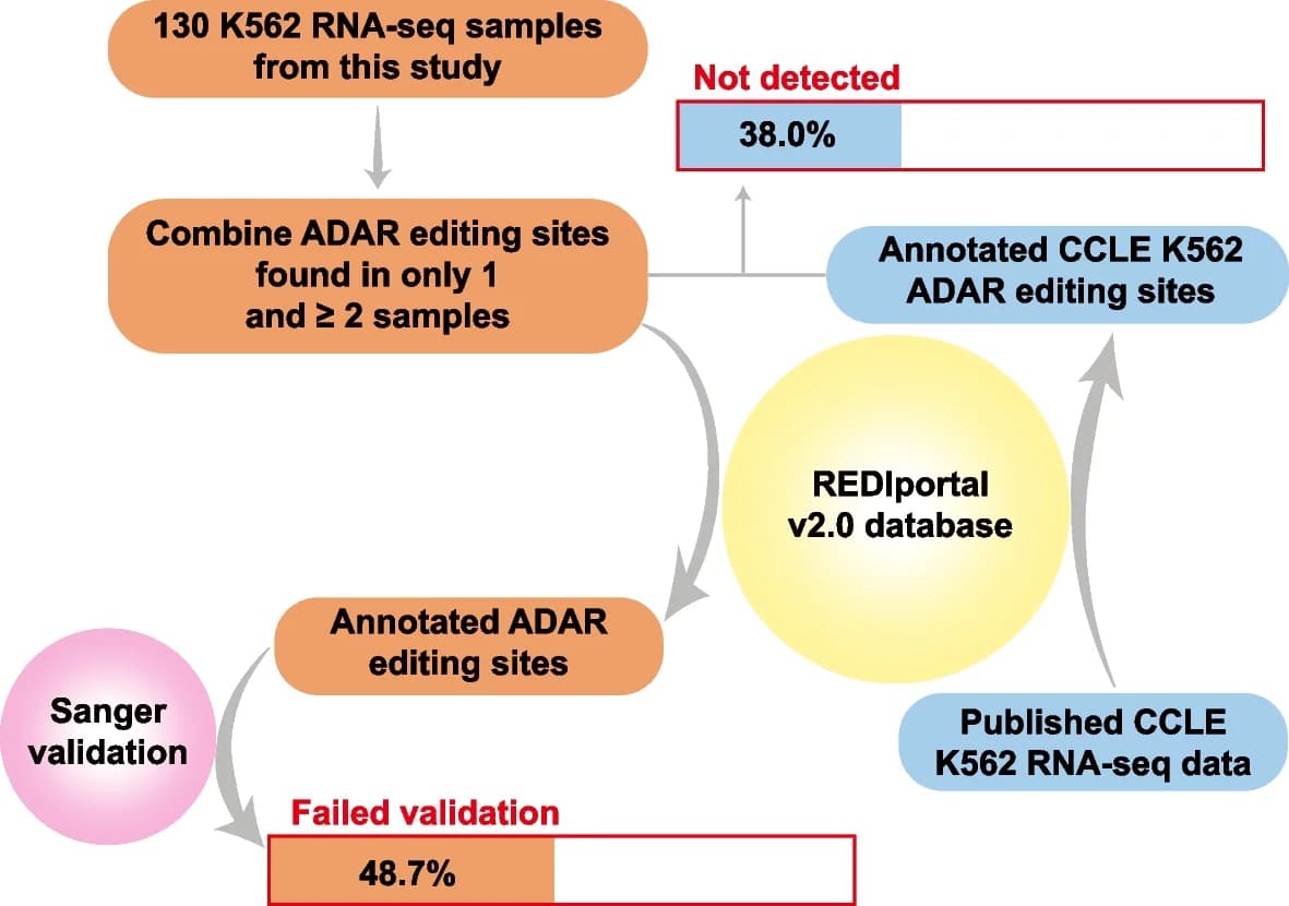 Open access visualization of Workflow, Flowchart, ADAR Editing Sites, Public Databases, False Positives