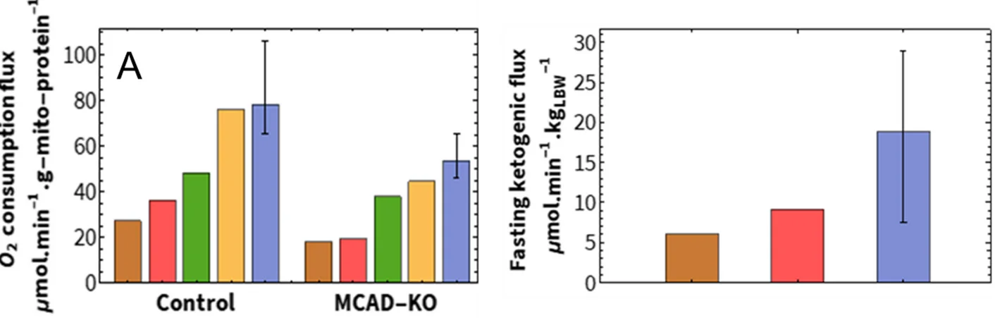 Open access visualization of Bar Plot, Error Bars, Acetyl-CoA production flux, Ketogenic flux, Ketogenesis