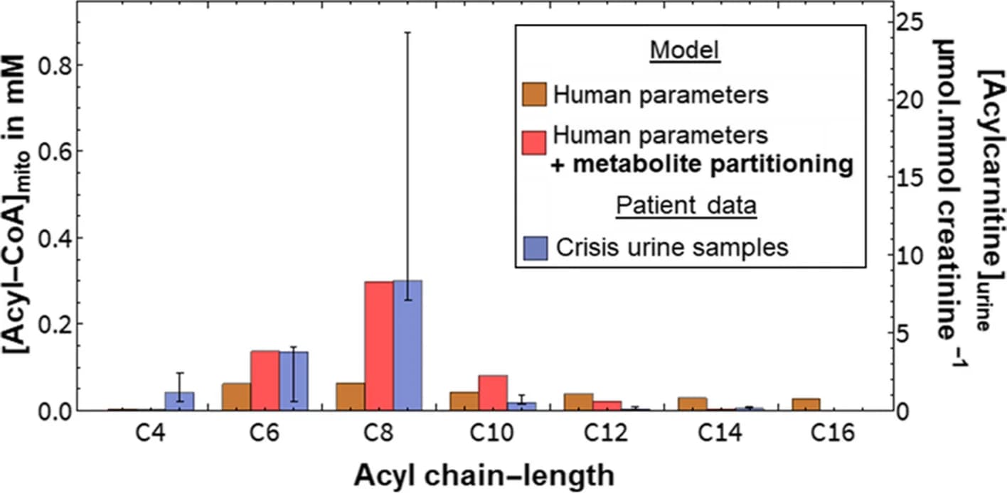 Open access visualization of Bar Plot, Error Bars, Clustered, Acyl-CoA, Mitochondria