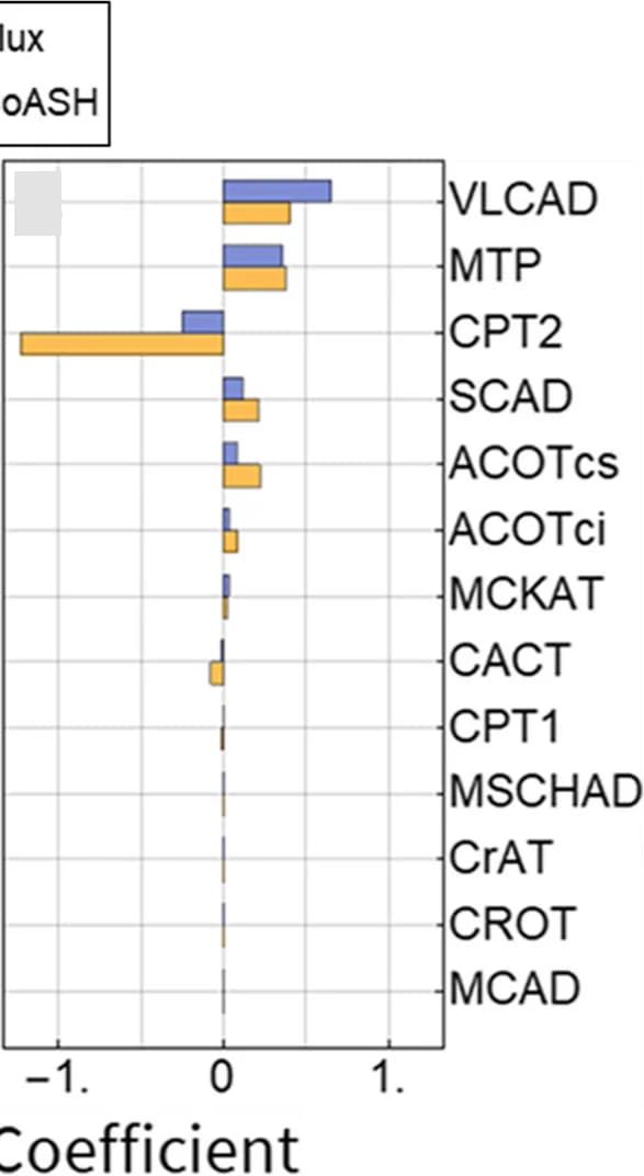 Open access visualization of Bar Plot, Metabolic Control Analysis, Flux, Mitochondrial CoASH Concentration, MCADD Model