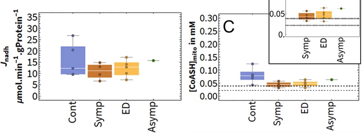 Open access visualization of Box Plot, Scatter Plot, Computational Models, Flux, Mitochondrial CoASH
