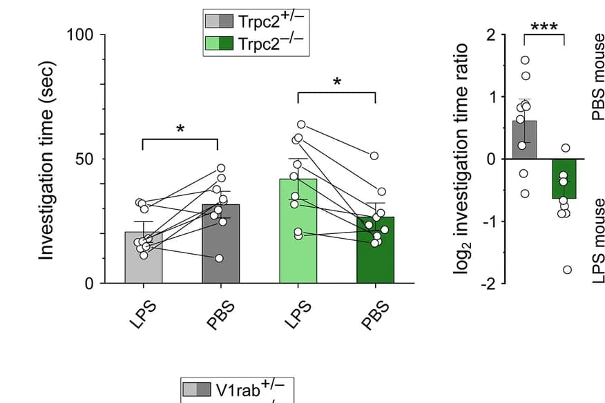 Open access visualization of Bar Plot, Error Bars, Scatter Plot, Investigation Times, Preference Score