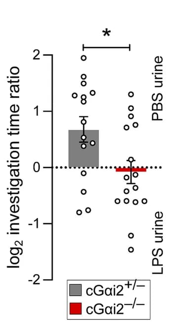 Open access visualization of Bar Plot, Error Bars, Scatter Plot, Investigation time ratios, Preference score