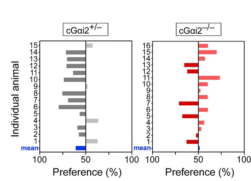 Open access visualization of Bar Plot, Investigation time, Preference, Mice, PBS-urine
