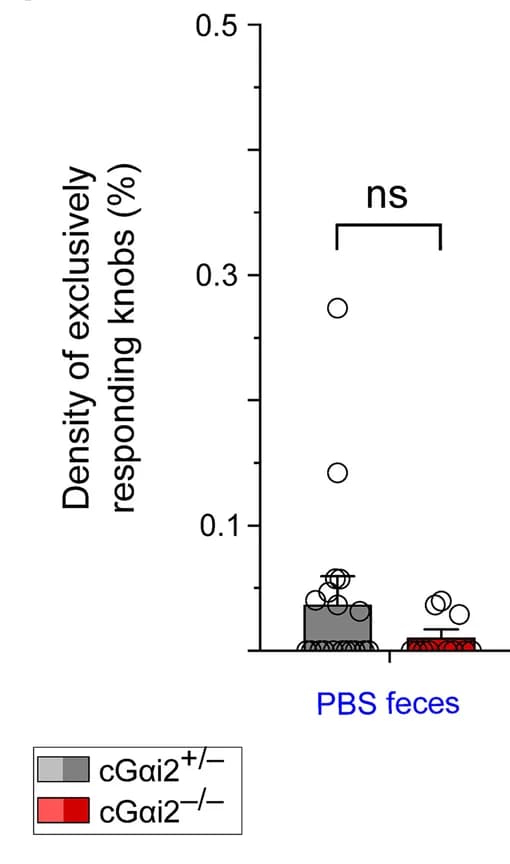 Open access visualization of Bar Plot, Scatter Plot, Stimuli, Mann-Whitney test