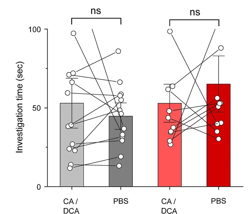 Open access visualization of Bar Plot, Error Bars, Scatter Plot, Investigation Times, PBS