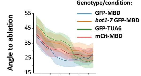 Open access visualization of Line Plot, Error Bars, Statistical Analysis, Python Script, Angle to Ablation