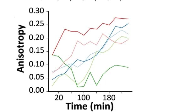 Open access visualization of Line Plot, Statistical Analysis, Python Script, Angle to Ablation, Anisotropy