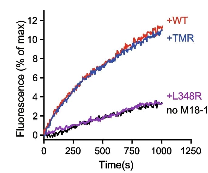 Open access visualization of Line Plot, Munc18-1, Lipid Mixing, Replicates, Reactions