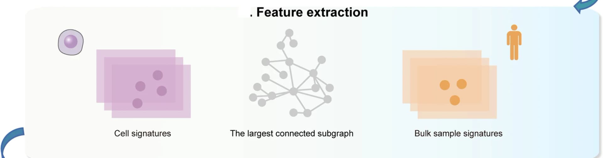 Open access visualization of Workflow, Illustration, Cell signatures, Bulk sample signatures, scRNA-seq data