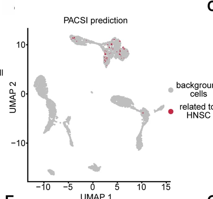 Open access visualization of UMAP, Scatter Plot, PACSI, HNSC