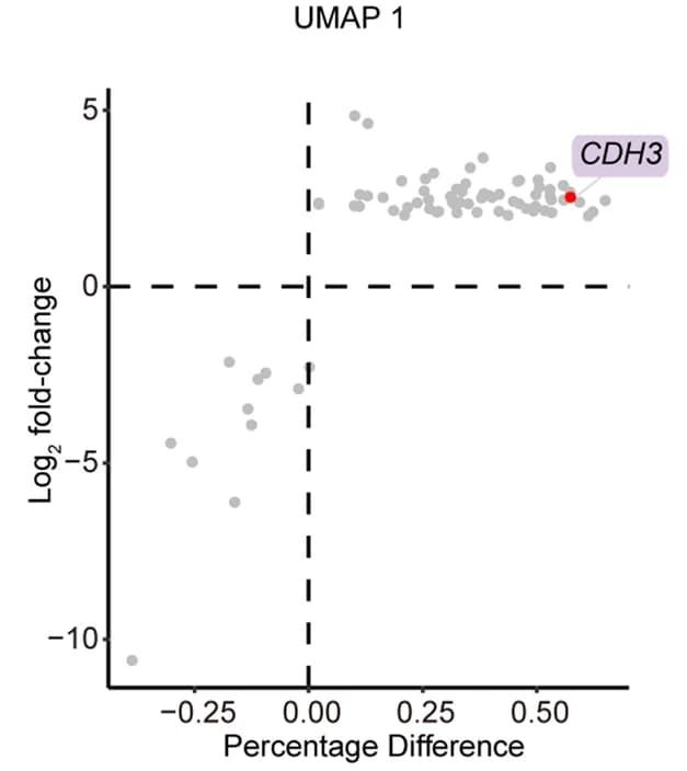 Open access visualization of Scatter Plot, Volcano Plot, UMAP, Differential Gene Expression, PACSI