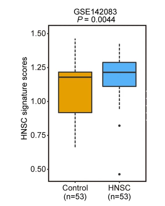 Open access visualization of Box Plot, HNSC, Enrichment Scores, Wilcoxon Rank-Sum Test