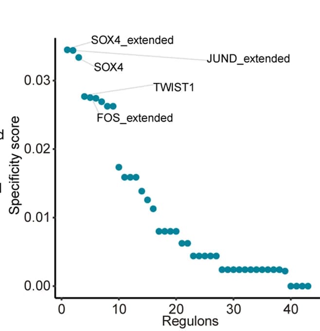 Open access visualization of Scatter Plot, Regulons, PACSI, Tumor Cells, Prognosis
