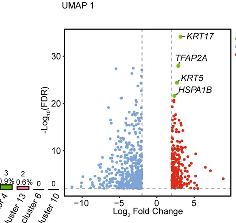 Open access visualization of Volcano Plot, Bar Plot, Differentially Expressed Genes, PACSI, Tumor Cells