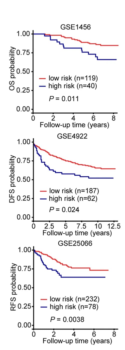 Open access visualization of Survival Curve, Kaplan-Meier Curves, Survival Analysis, PACSI, Risk Groups
