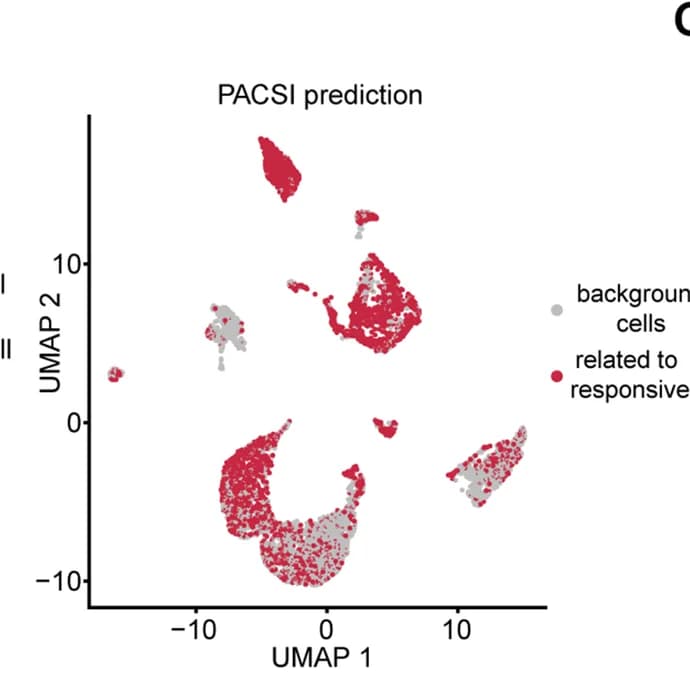 Open access visualization of UMAP, Scatter Plot, PACSI, Immunotherapy Response