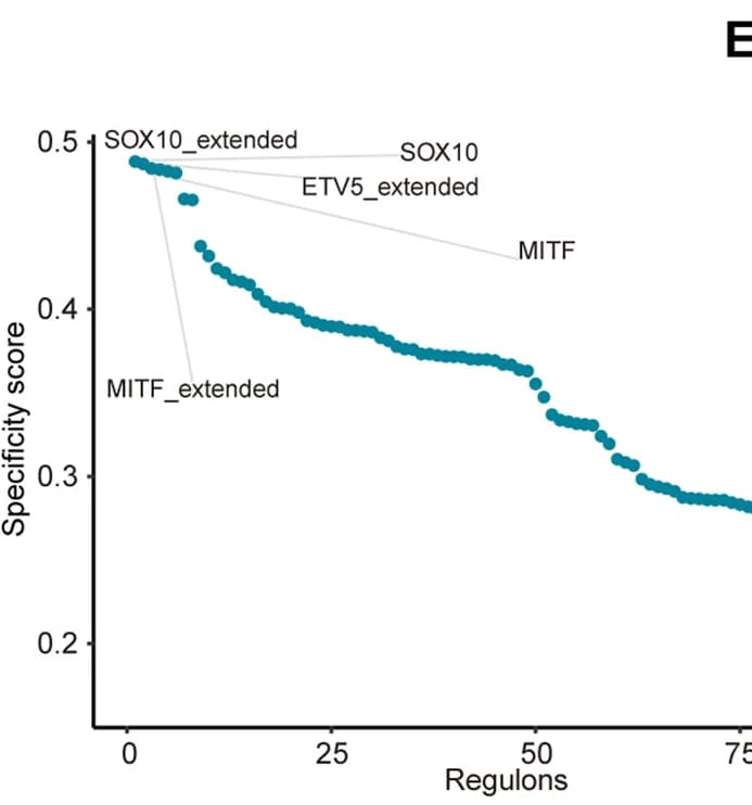 Open access visualization of Scatter Plot, Regulons, PACSI, Immunotherapy Response, RSS