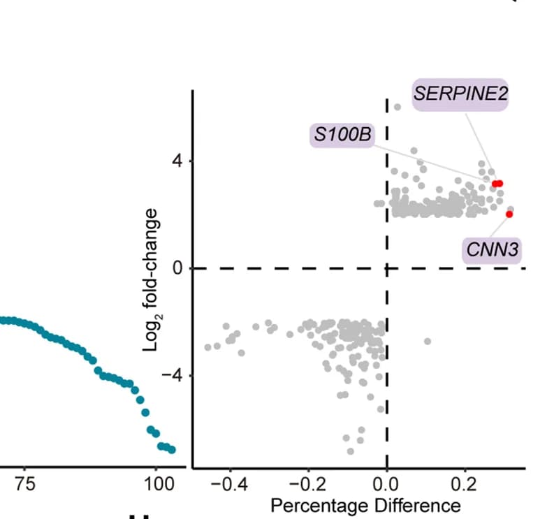 Open access visualization of Scatter Plot, Volcano Plot, Differential Gene Expression, PACSI, Log2 Fold-change