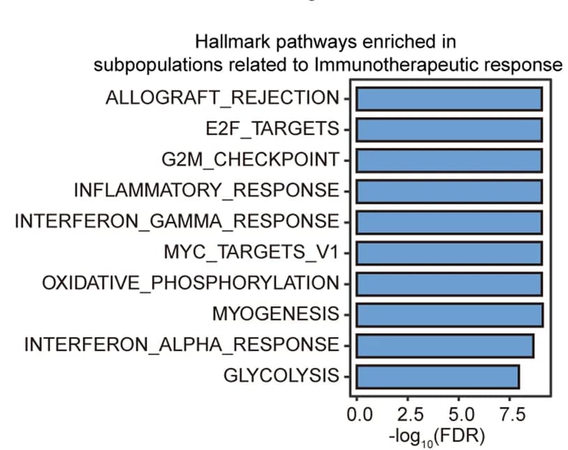 Open access visualization of Bar Plot, Hallmark Pathways, PACSI, GSEA