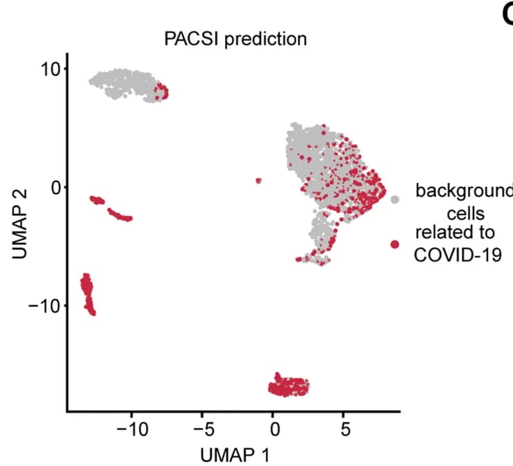 Open access visualization of UMAP, PACSI, COVID-19