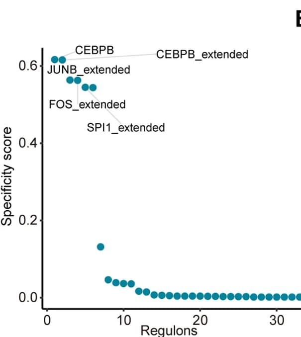 Open access visualization of Scatter Plot, Regulons, PACSI, COVID-19, RSS