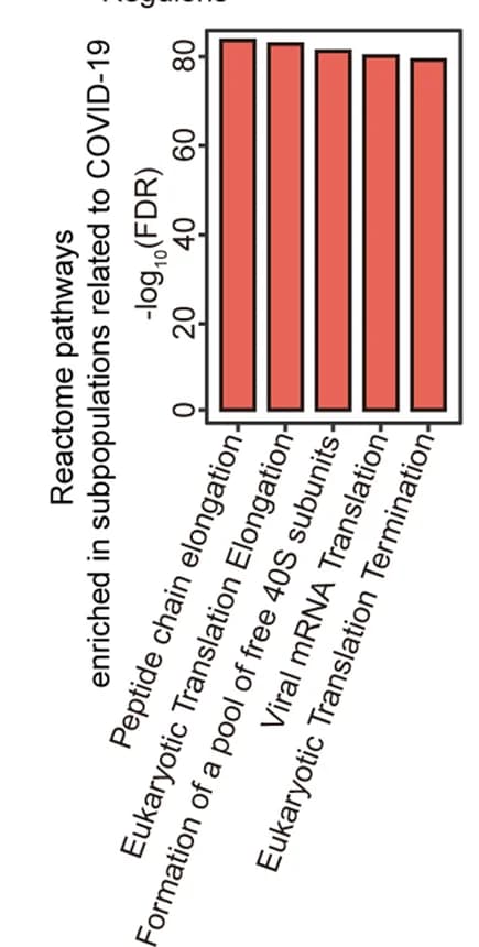 Open access visualization of Bar Plot, Reactome Pathways, Gene Enrichment, PACSI