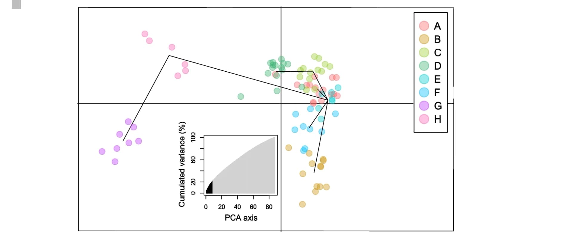 Open access visualization of PCA, Scatter Plot, Line Plot, DAPC, Individuals