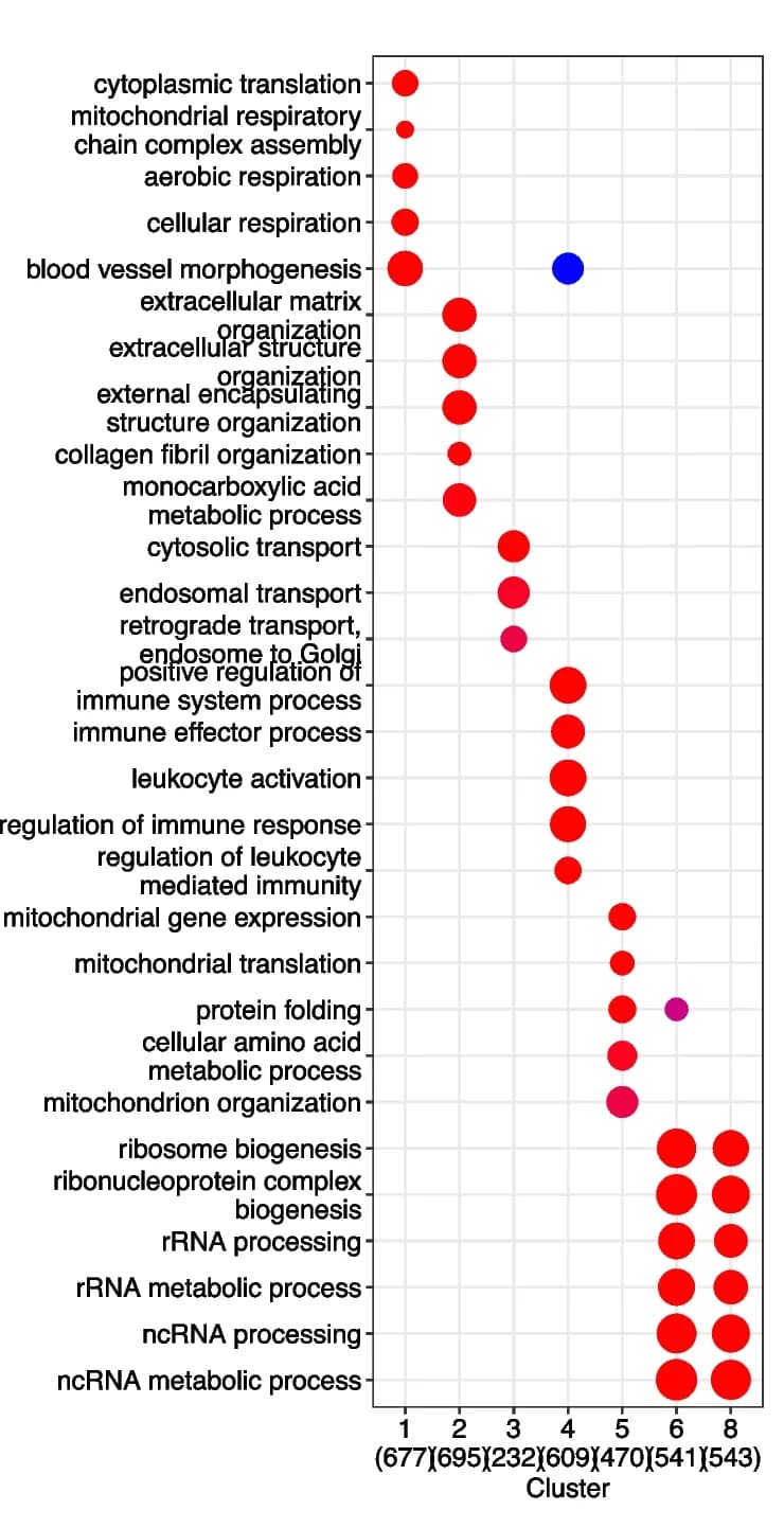 Open access visualization of Bubble Plot, Gene Ontology, Biological Process, Hierarchical Clustering, Contigs