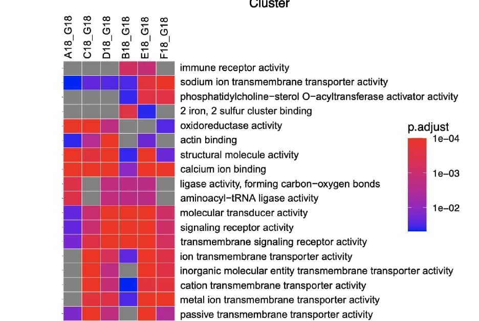 Open access visualization of Heatmap, Treeplot, Semantic Similarity, GO Molecular Function, Gene Set Enrichment Analysis