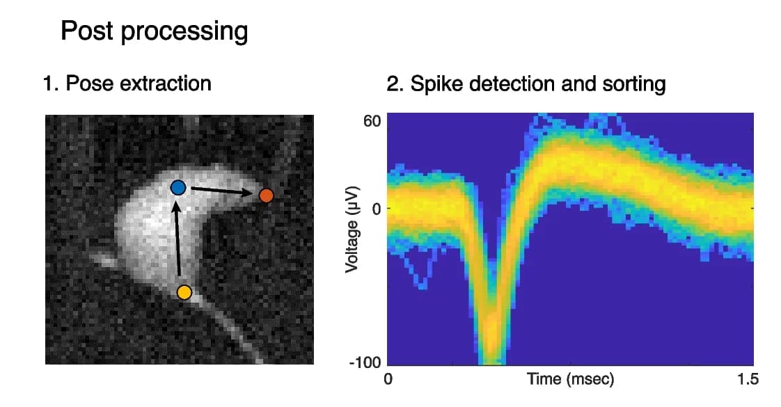 Open access visualization of Line Plot, Photo, Data Post-processing, Posture Features, DNN
