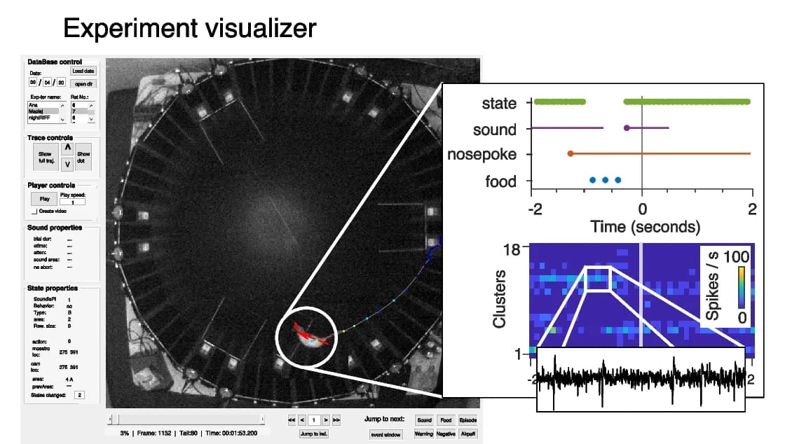Open access visualization of Heatmap, Line Plot, Scatter Plot, Data Visualization, Visualizer Software