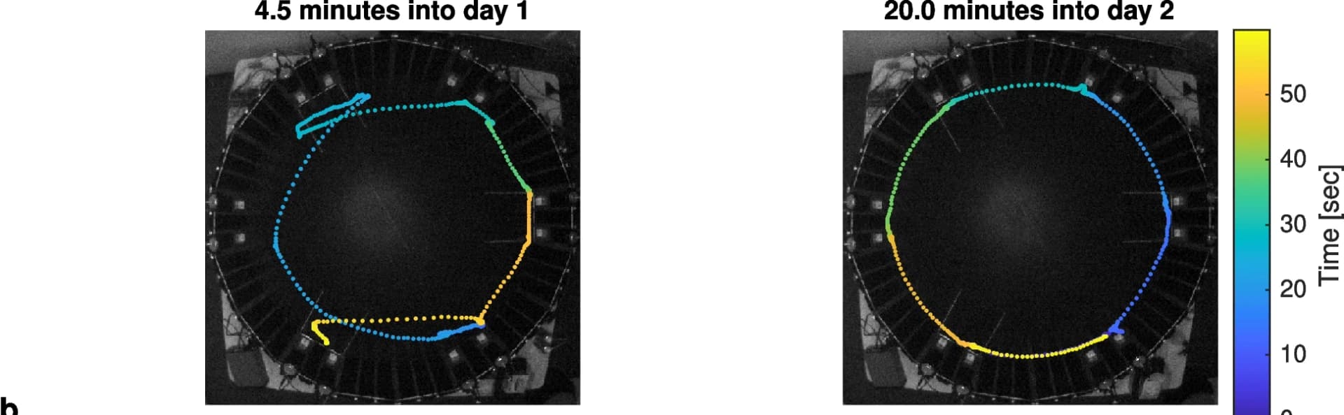 Open access visualization of Scatter Plot, Trajectory segments, Training sessions, Learning