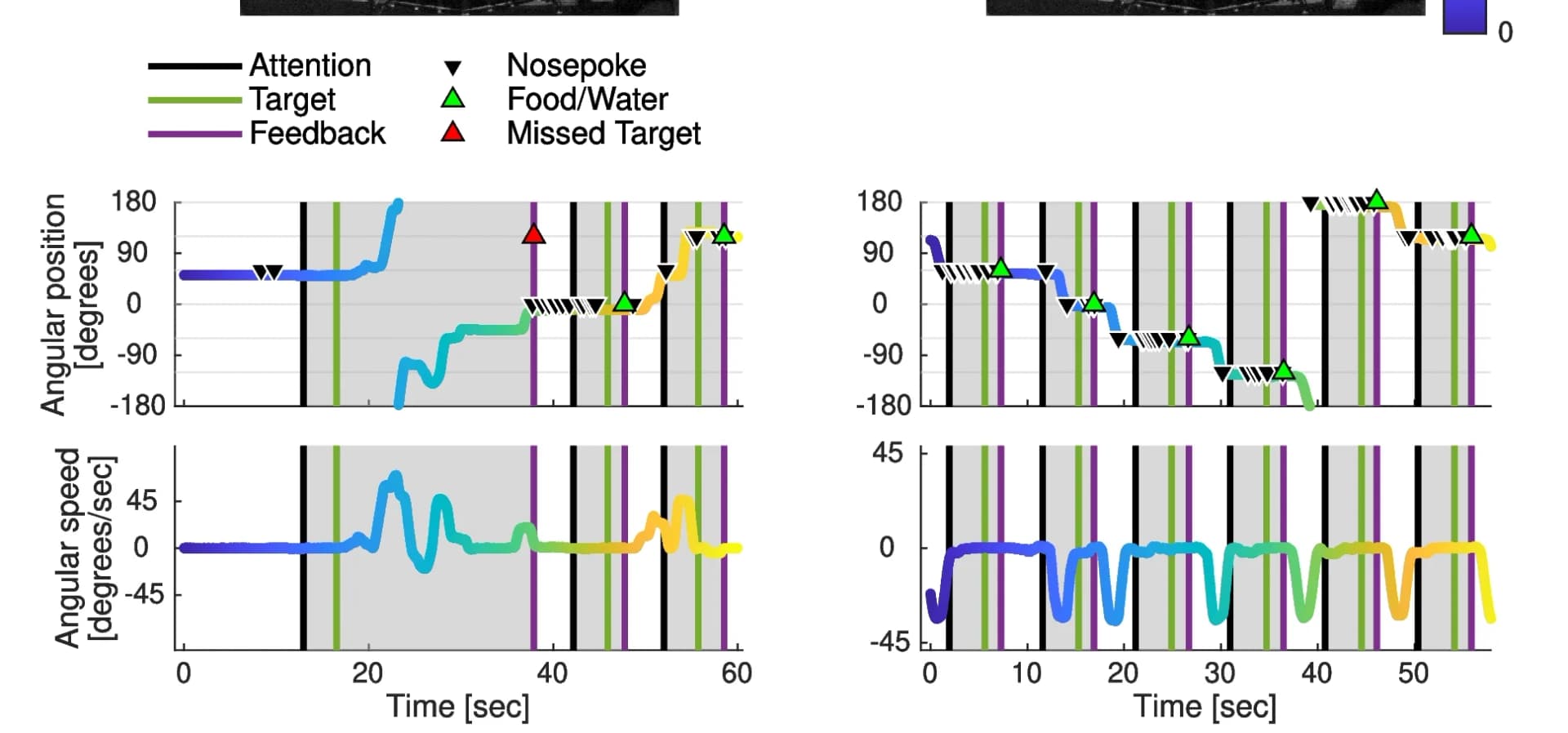 Open access visualization of Line Plot, Scatter Plot, Angular position, Speed, Trajectories