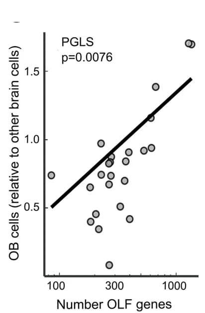 Open access visualization of Scatter Plot, Regression Plot, Genes, Receptor Family, Genome Assembly