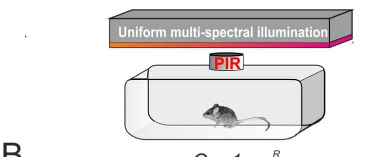 Open access visualization of Illustration, Passive infrared activity monitoring, Stimuli, Spectral composition