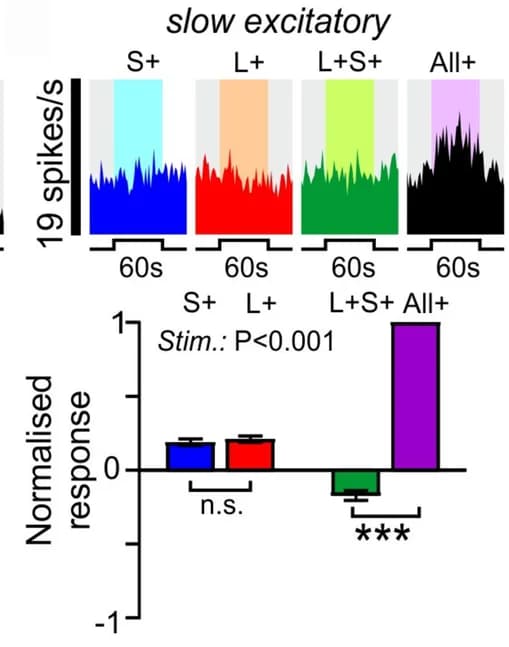 Open access visualization of Bar Plot, Line Plot, Error Bars, Single Neuron, Population Responses
